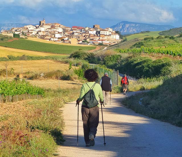 Peregrinos en el Camino de Santiago